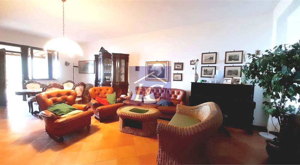 salone
