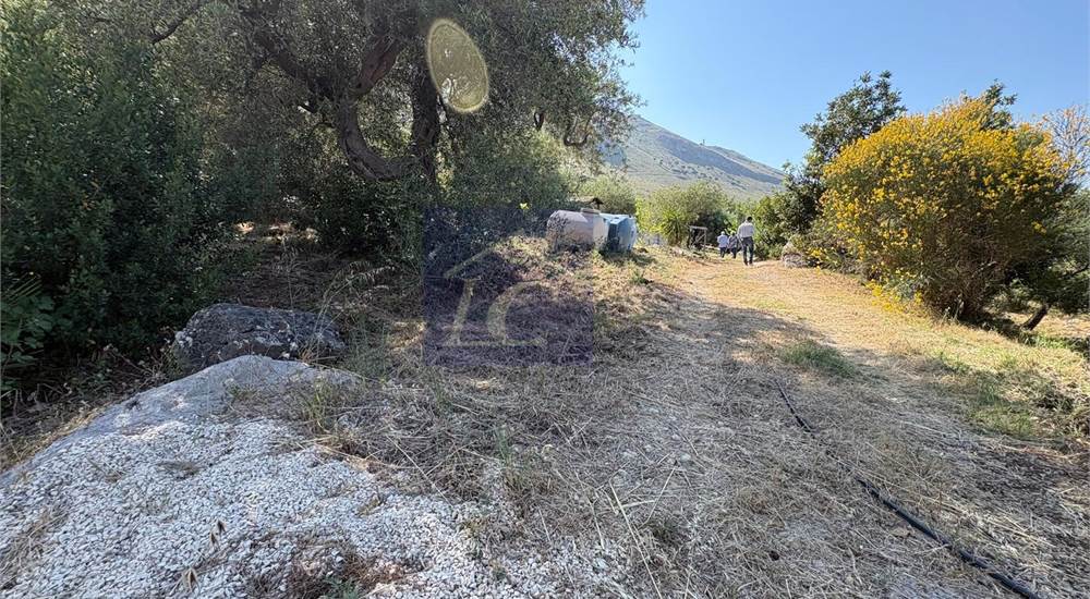 Photo 35