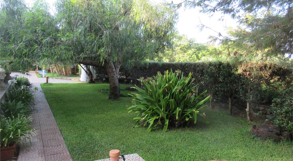 Photo 29