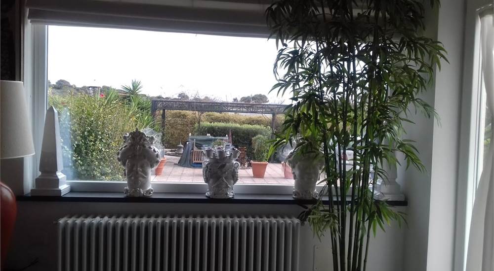 Photo 47